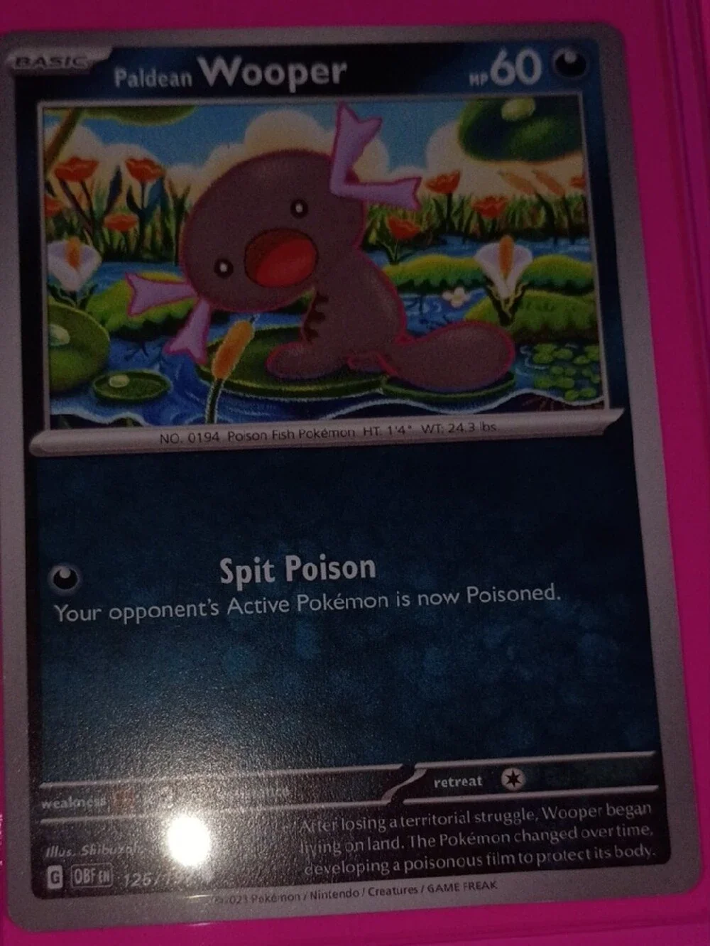 Pokemon Card Lot